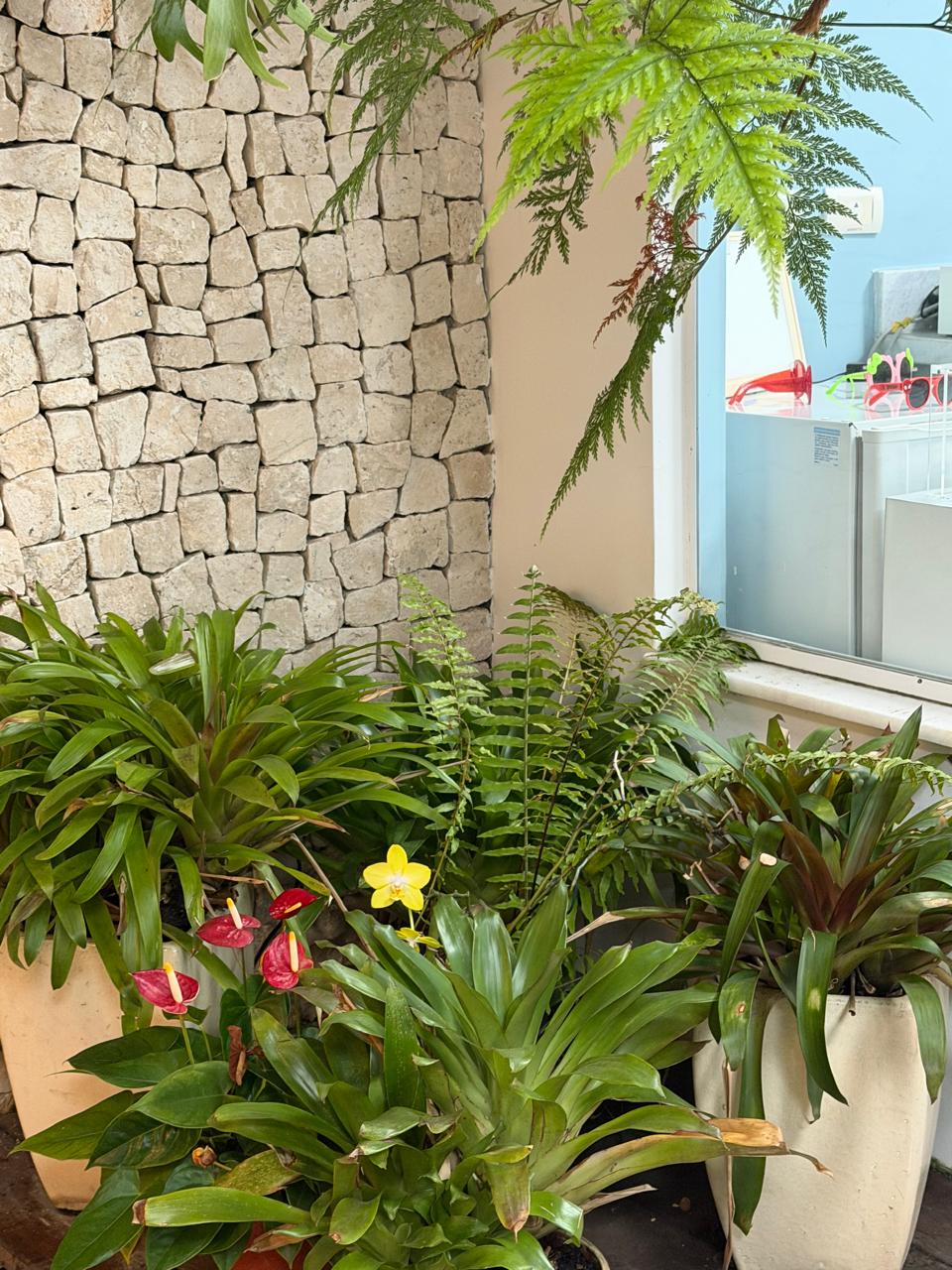 Jardim interno do Centro Odontológico